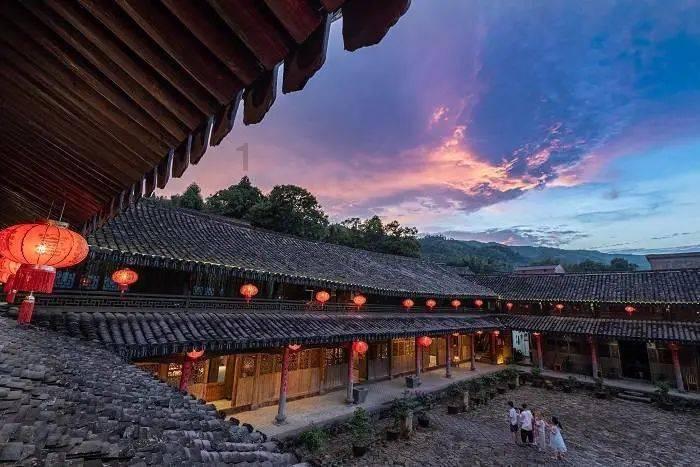 野性贵州 有问必答丨“九死还魂草”是一味良药,缺水还会“跑”